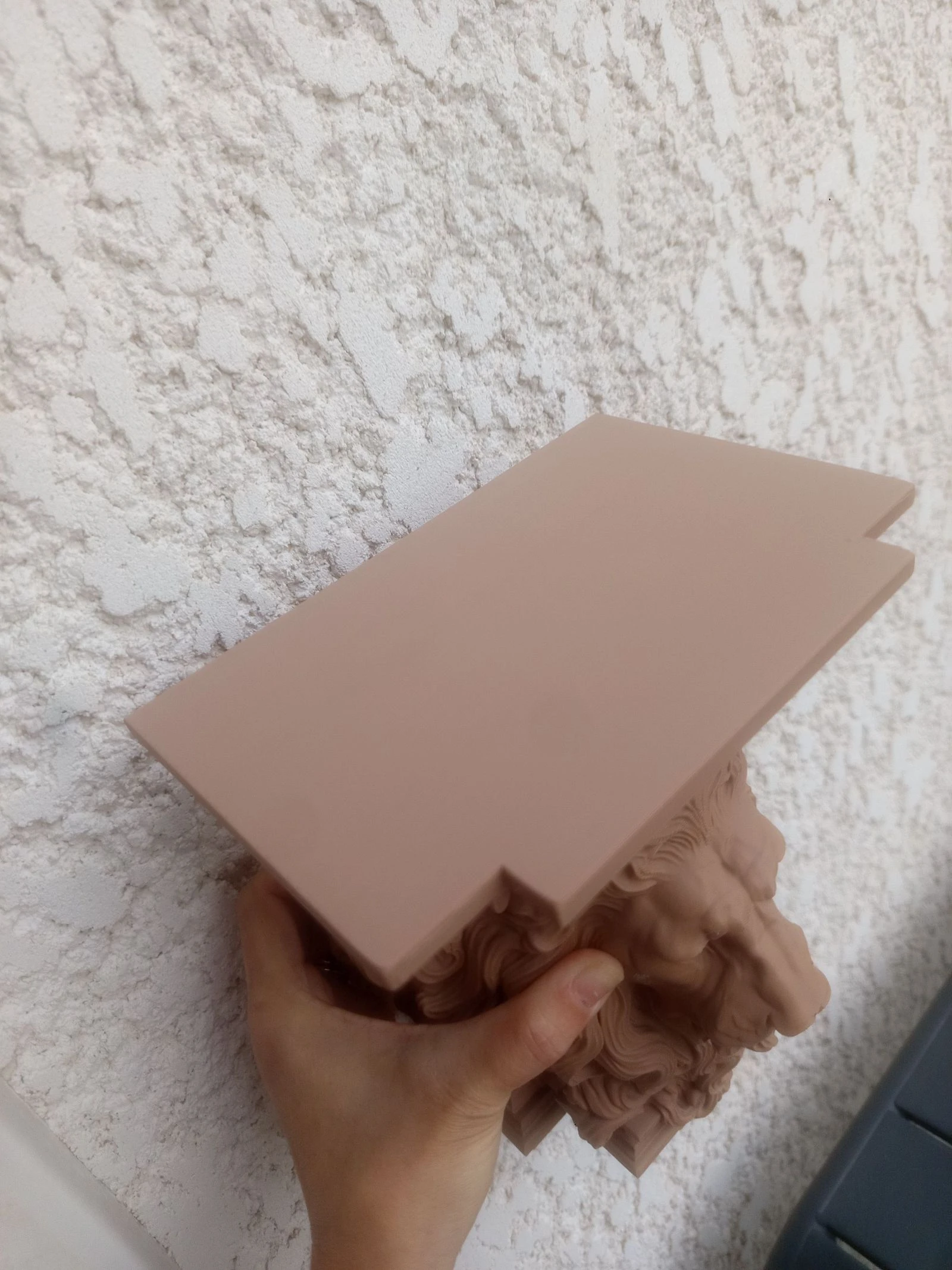 Etagère tablette tête de lion beige marron kleur beige hout 🍀 – photo 7